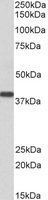 EB05148 1