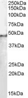 EB05540 1