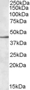 EB09019 1