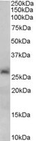 EB06973 1