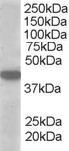 EB05131 1
