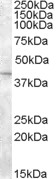 EB07262 1