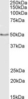 EB05147-T 2