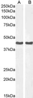 EB06450 2