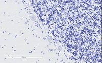 EB06738 3