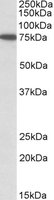 EB09792 1