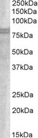 EB05909 1