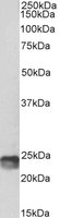 EB05040-B 1