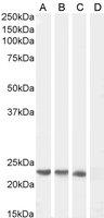EB05040-T 1
