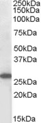 EB05019 1