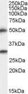 EB05341 1