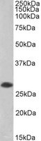 EB05885-B 1