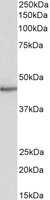 EB05127 1