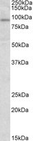 EB07379-T 1