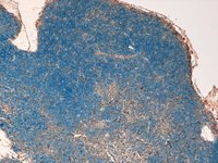 EB05073 1
