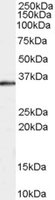 EB05327 1
