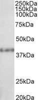 EB05731 1