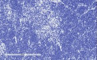 EB07934 2