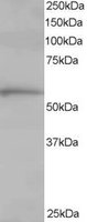 EB06277 1