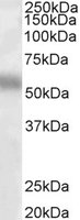 EB07932 1