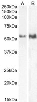 EB05425 1