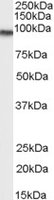 EB07827-T 1