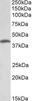 EB11889 1
