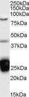 EB07741 1