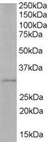 EB05187 1