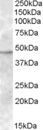 EB08297 1