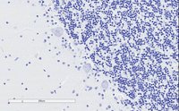 EB09800 4