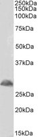 EB07922 1
