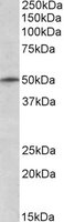 EB05926 1