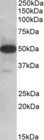 EB10879 1