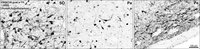 EB06739 2