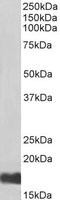 EB05759-B 1