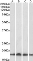 EB05770 2