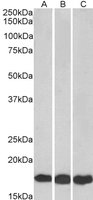 EB05770 4