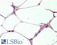 EB07716 3