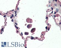 EB07716 4