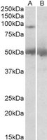 EB05974 1