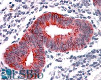 EB07369 1