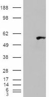 EB07896 2