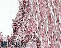 EB07302 1